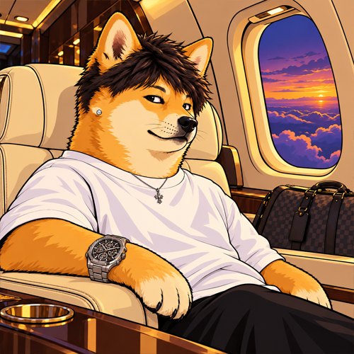 DogeKimchi relaxing in a private jet at sunset